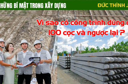 Vì sao có công trình dùng cả 100 cọc và ngược lại ?