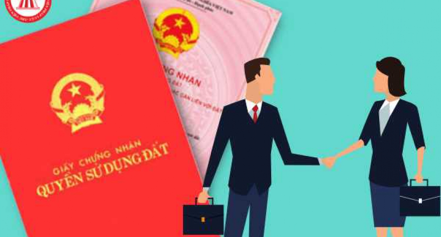 Làm gì khi hàng xóm làm sổ đỏ sang diện tích đất nhà mình?